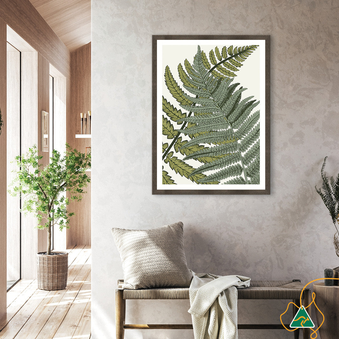 FERN STUDY I - Framed Print