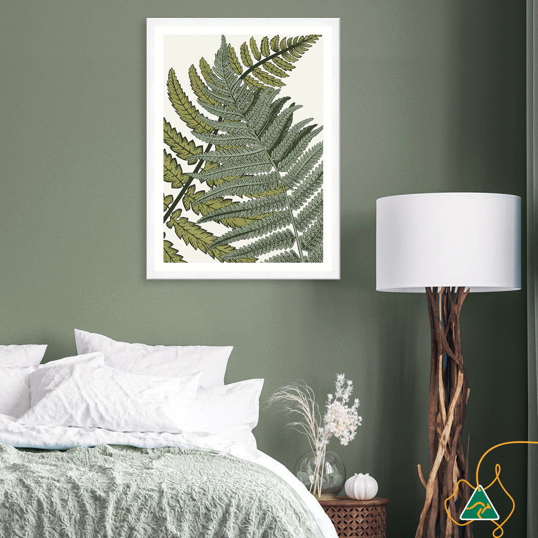 FERN STUDY I - Framed Print