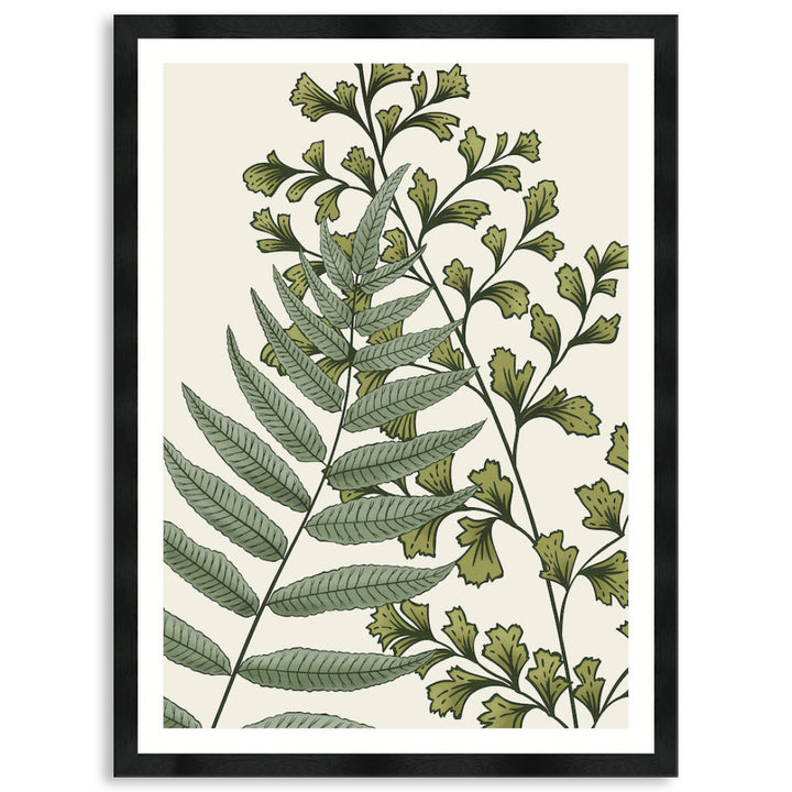 FERN STUDY II - Framed Print