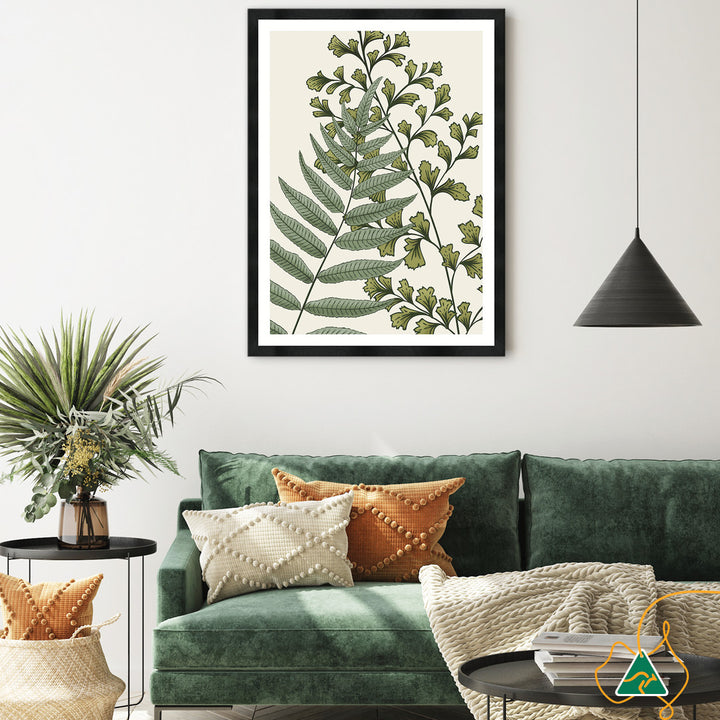 FERN STUDY II - Framed Print