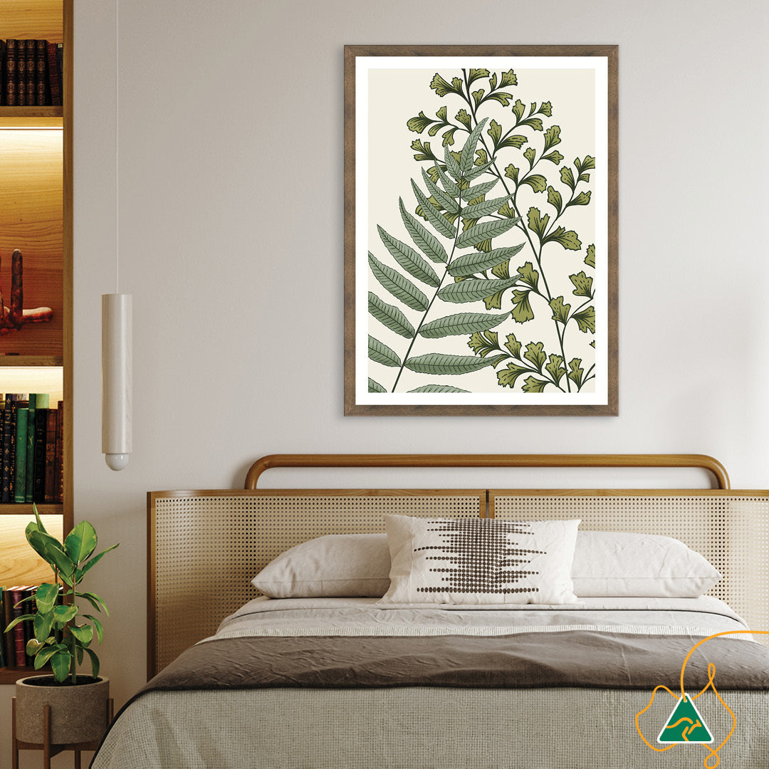 FERN STUDY II - Framed Print