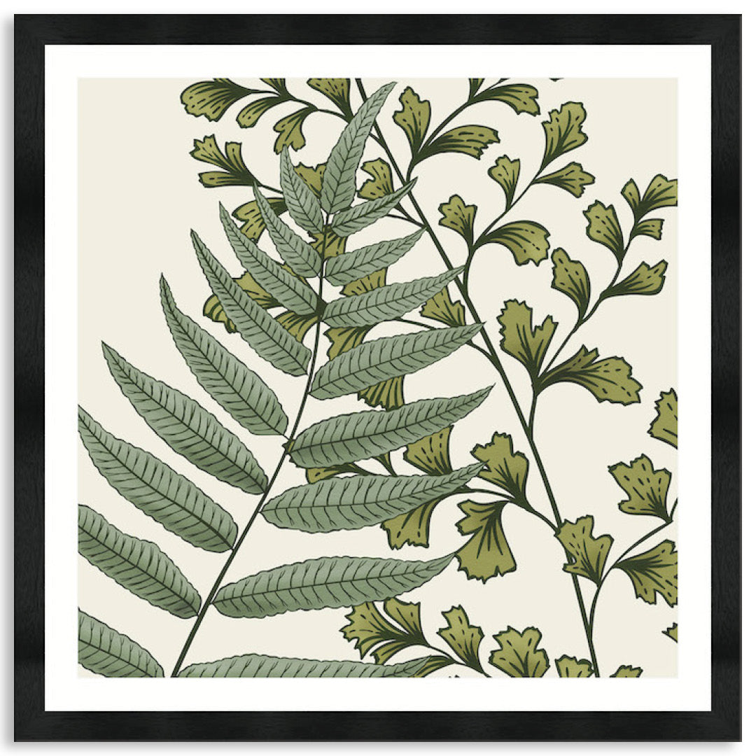 FERN STUDY IV - Framed Print