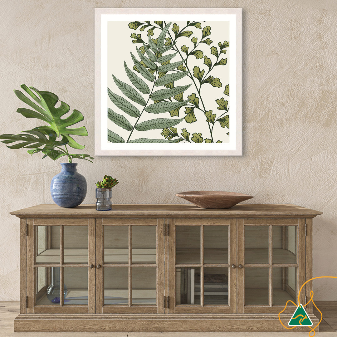 FERN STUDY IV - Framed Print