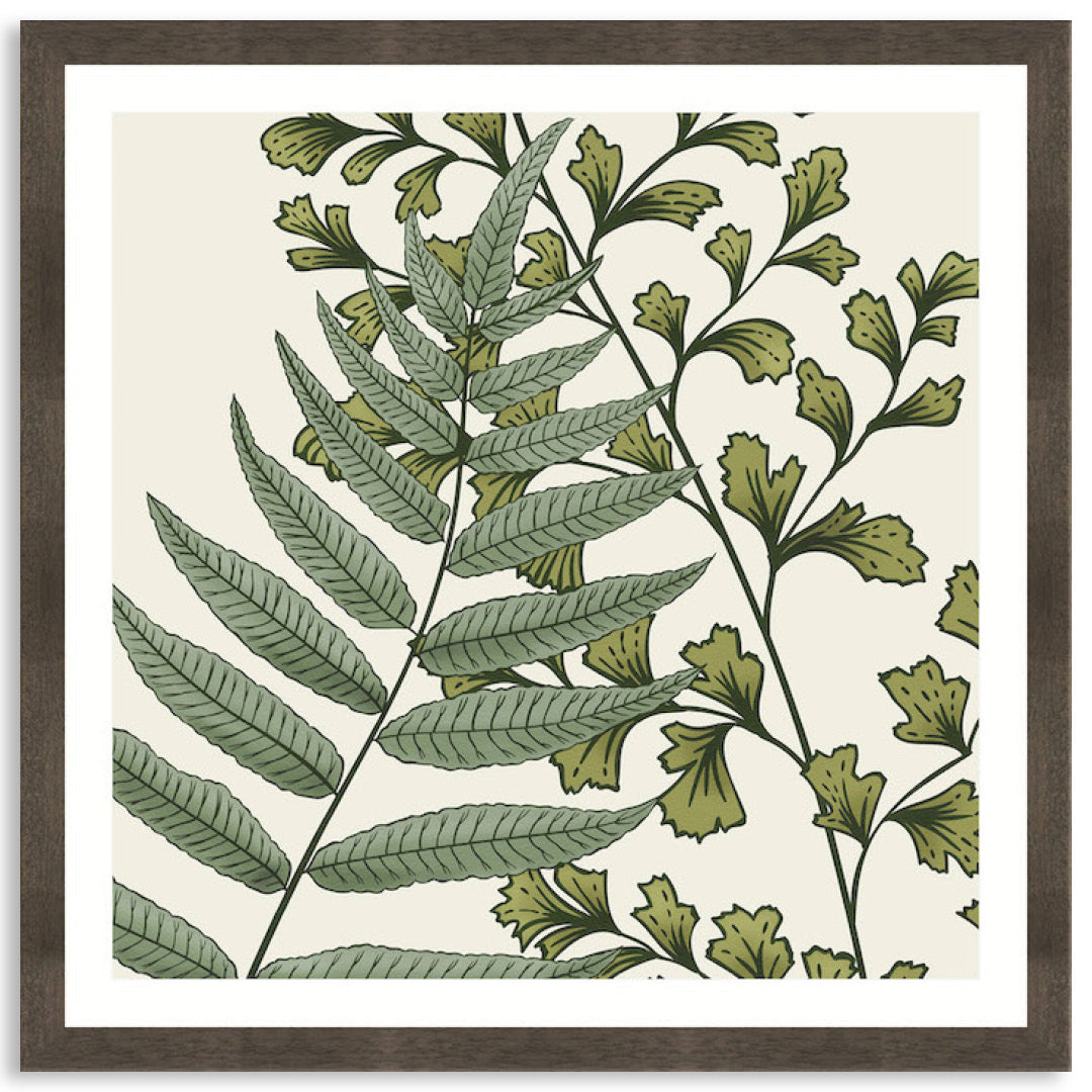 FERN STUDY IV - Framed Print