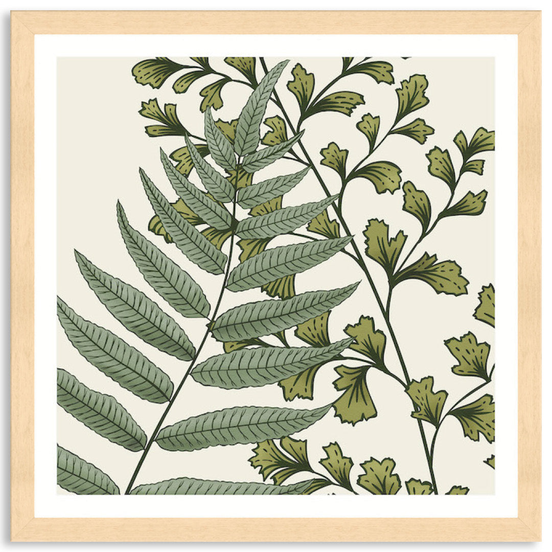 FERN STUDY IV - Framed Print