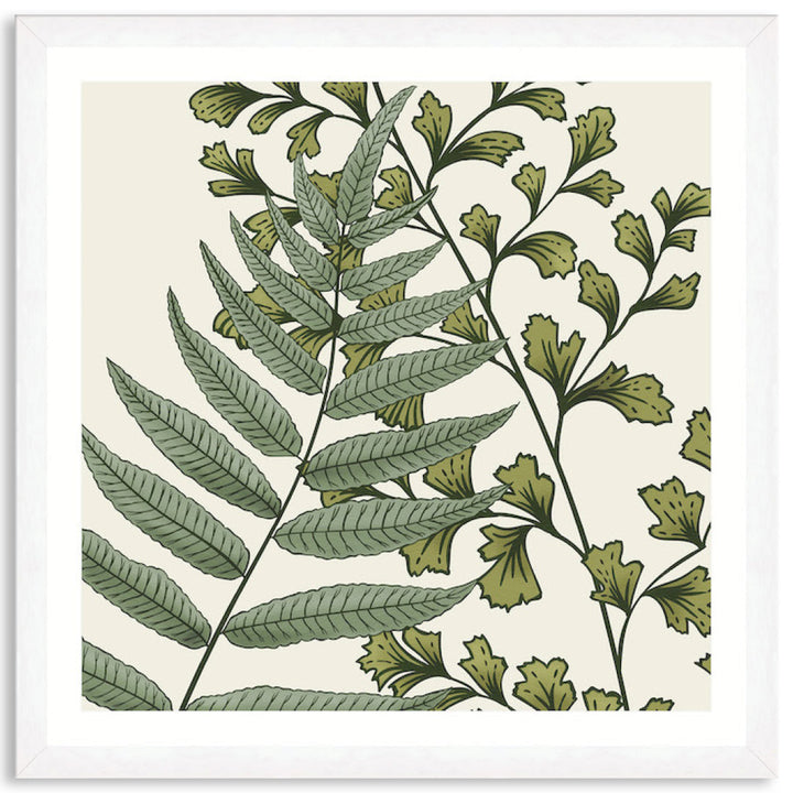 FERN STUDY IV - Framed Print