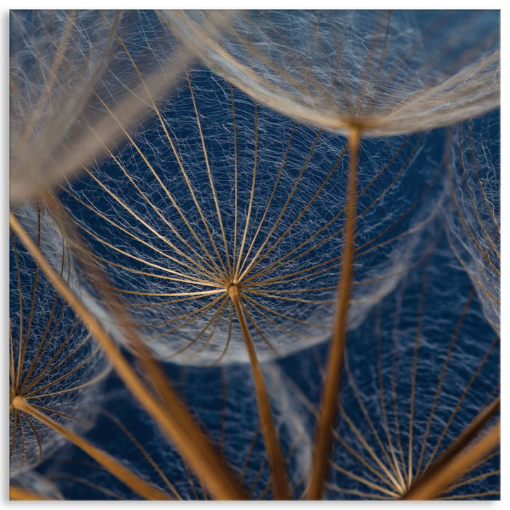 MACRO BOTANICAL II - Canvas Print