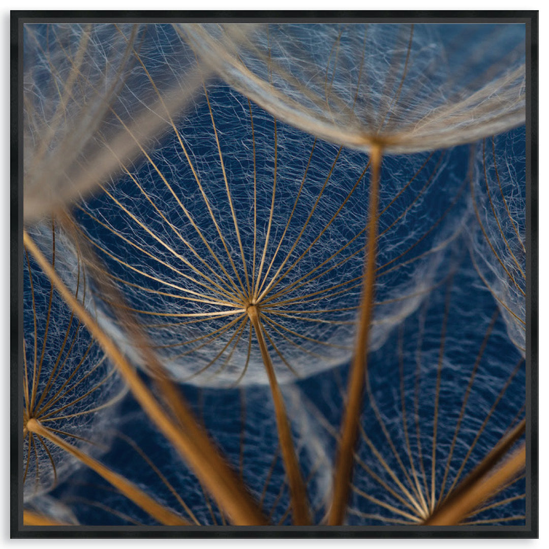 MACRO BOTANICAL II - Framed Canvas