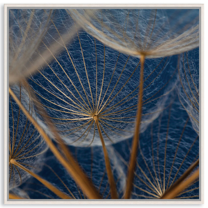 MACRO BOTANICAL II - Framed Canvas