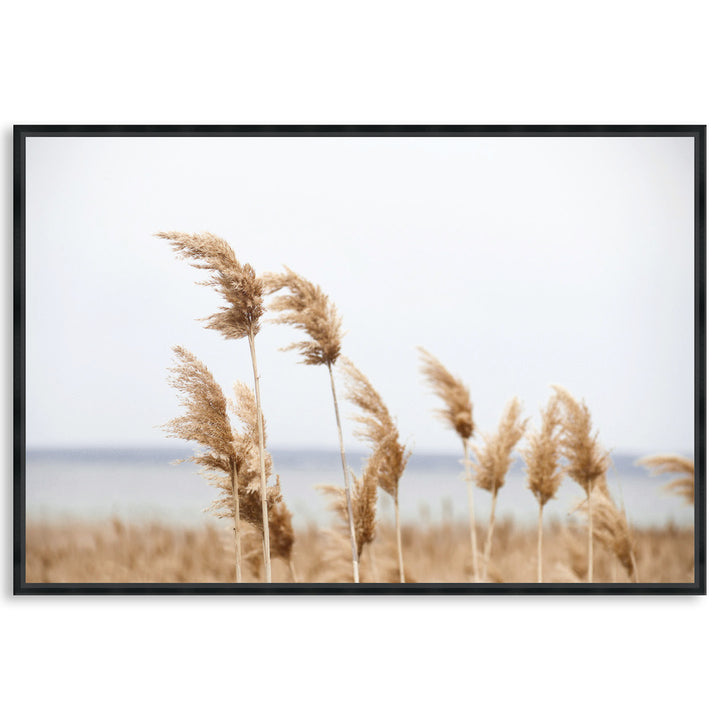 LAKE REEDS I - Framed Canvas