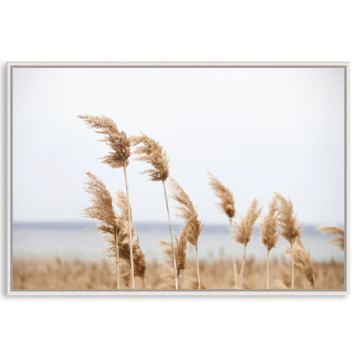 LAKE REEDS I - Framed Canvas