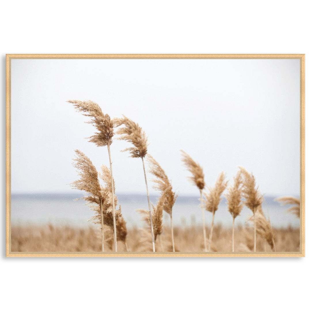 LAKE REEDS I - Framed Canvas