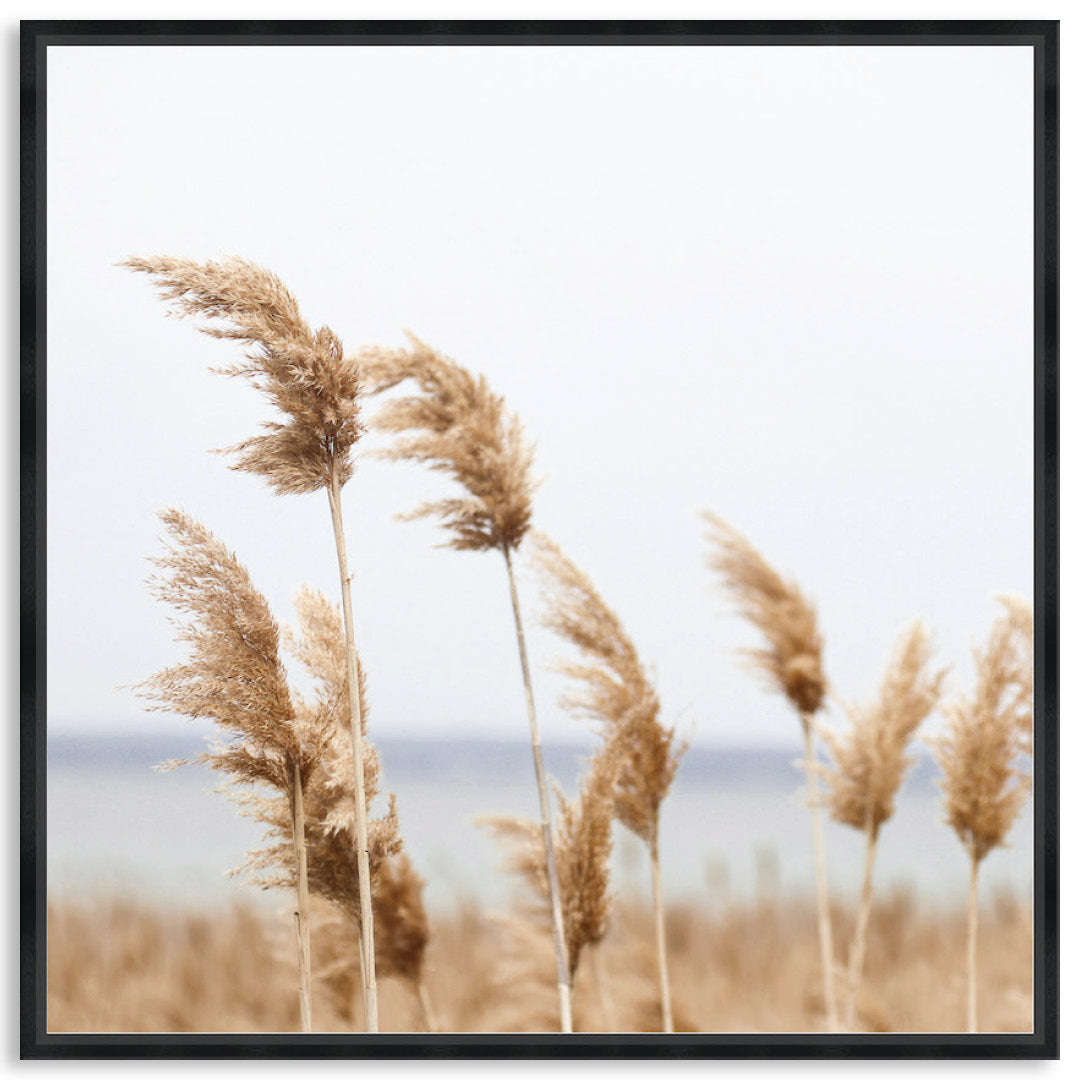 LAKE REEDS II - Framed Canvas