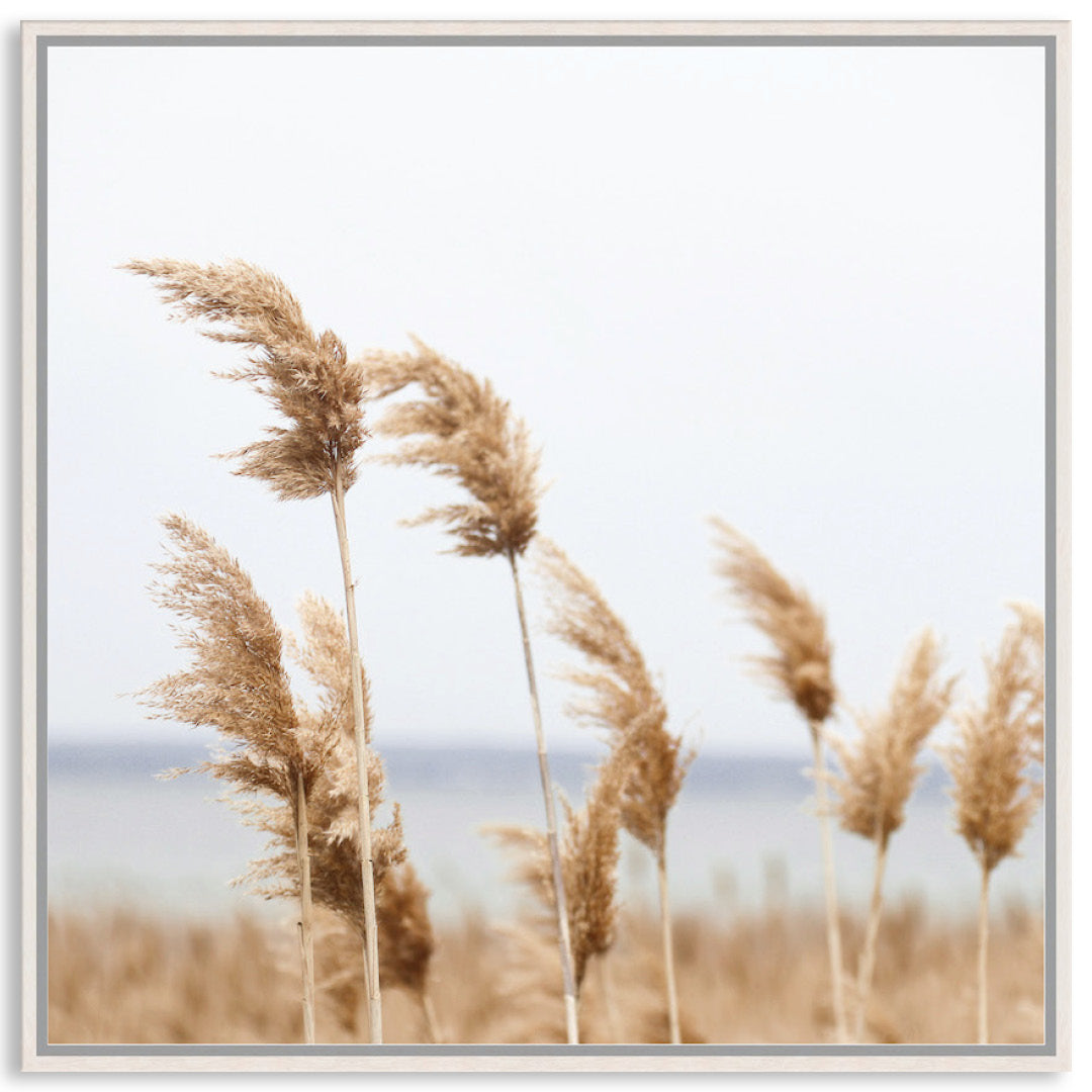 LAKE REEDS II - Framed Canvas