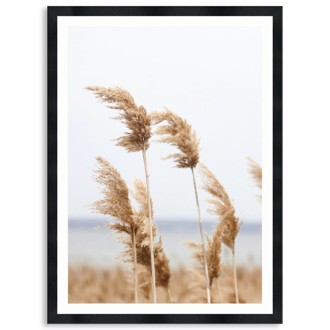 LAKE REEDS III - Framed Print