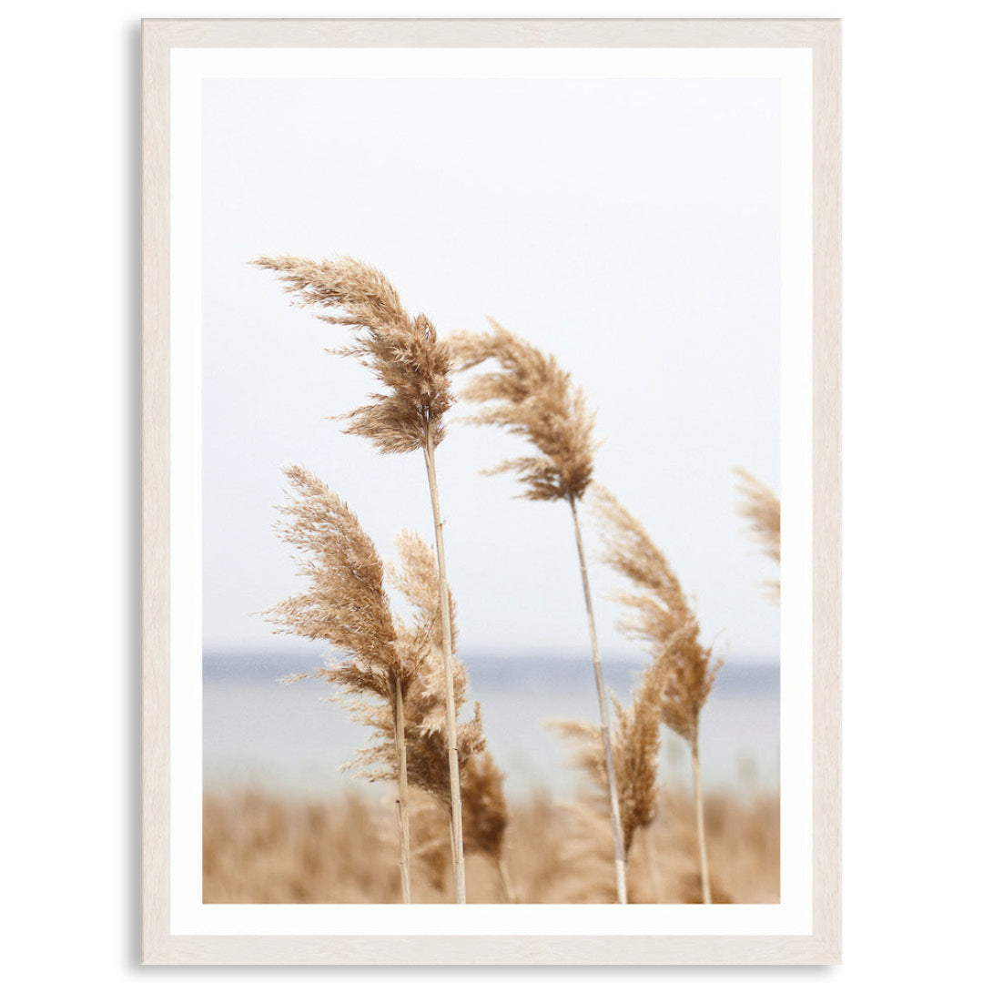 LAKE REEDS III - Framed Print