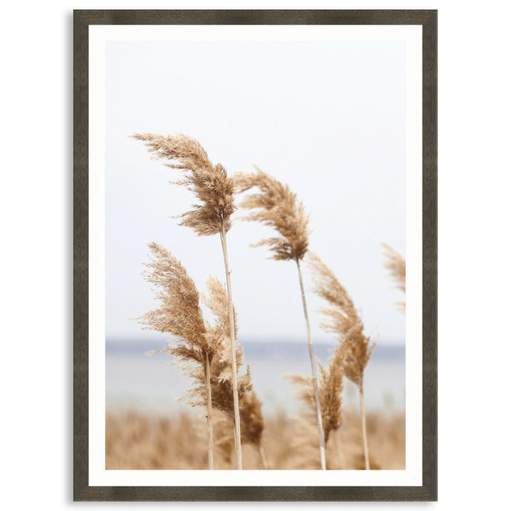 LAKE REEDS III - Framed Print