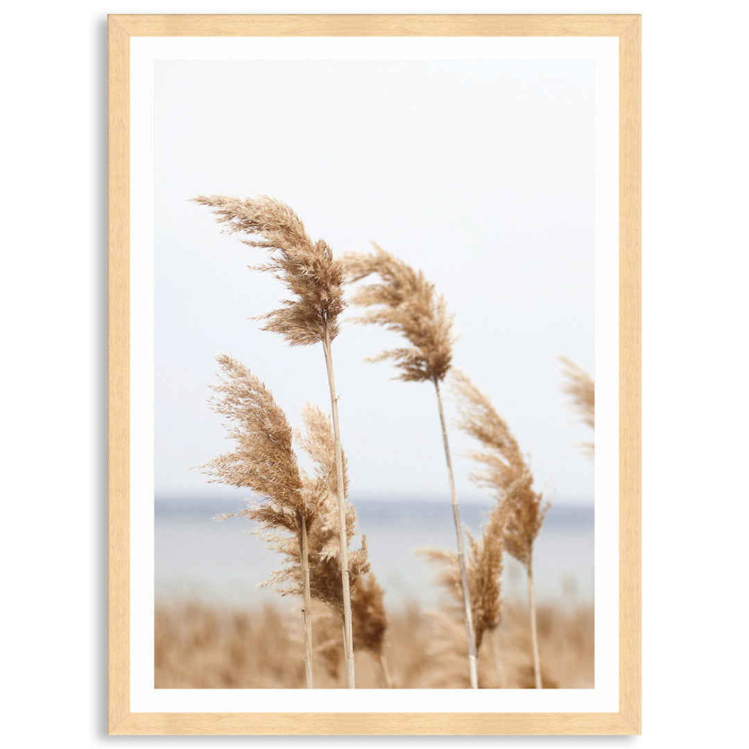 LAKE REEDS III - Framed Print