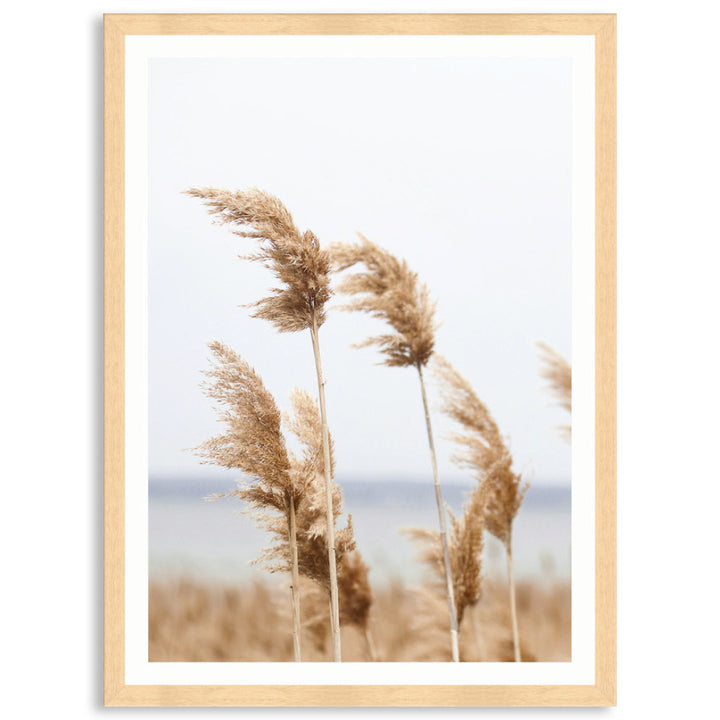 LAKE REEDS III - Framed Print