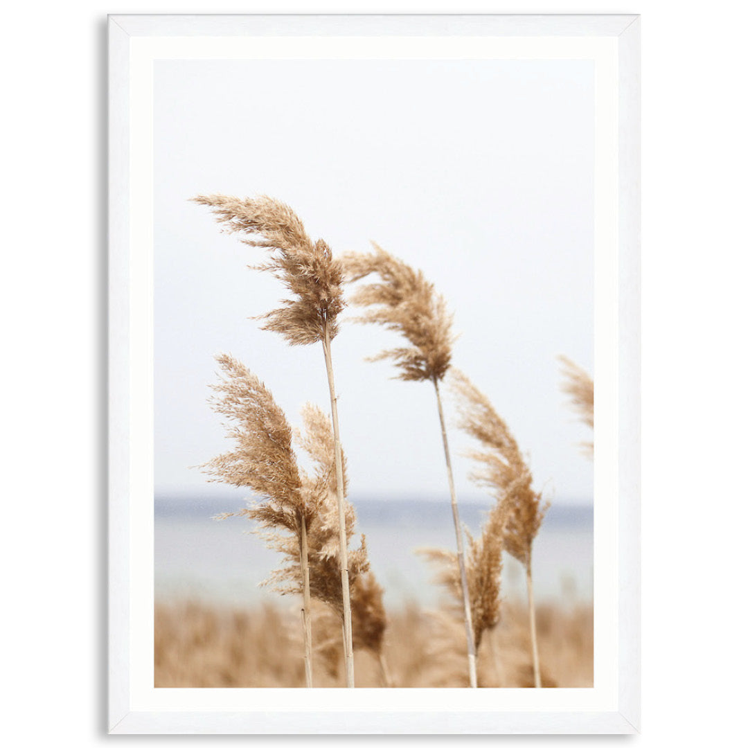 LAKE REEDS III - Framed Print