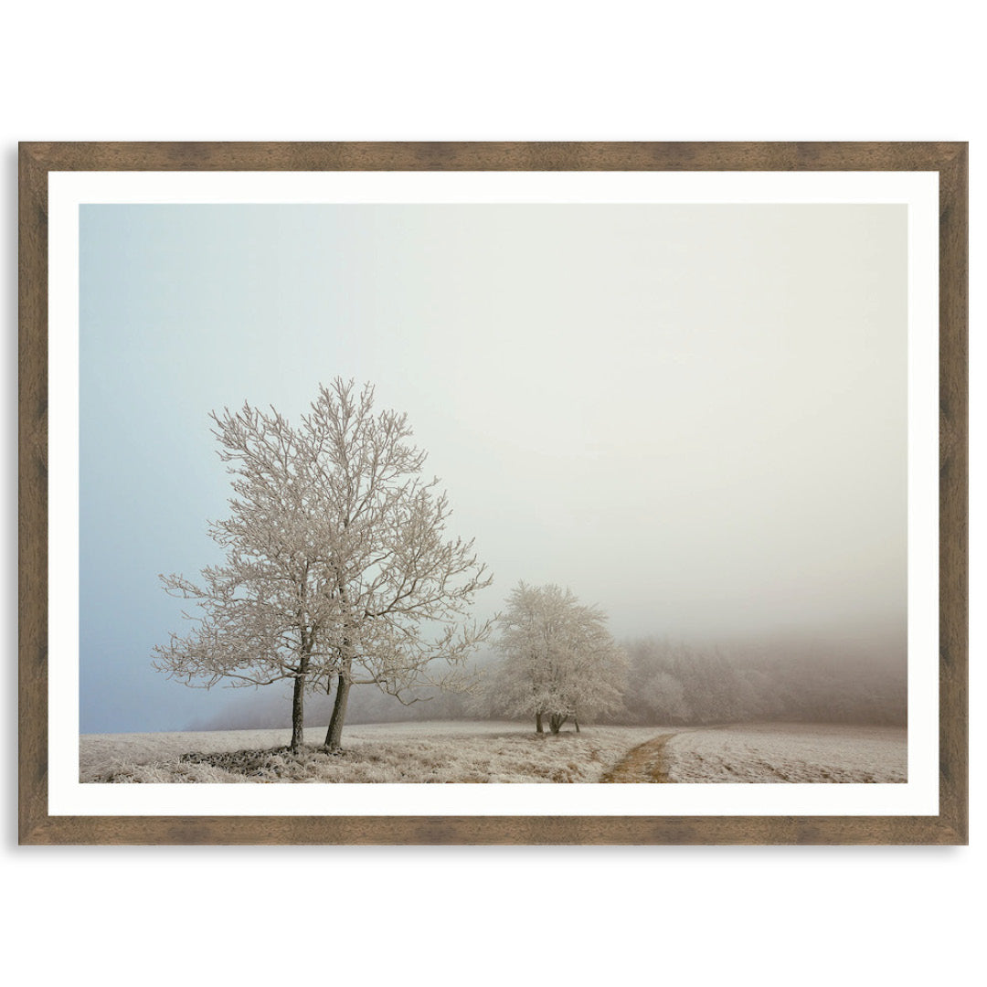 EARLY MORNING I - Framed Print