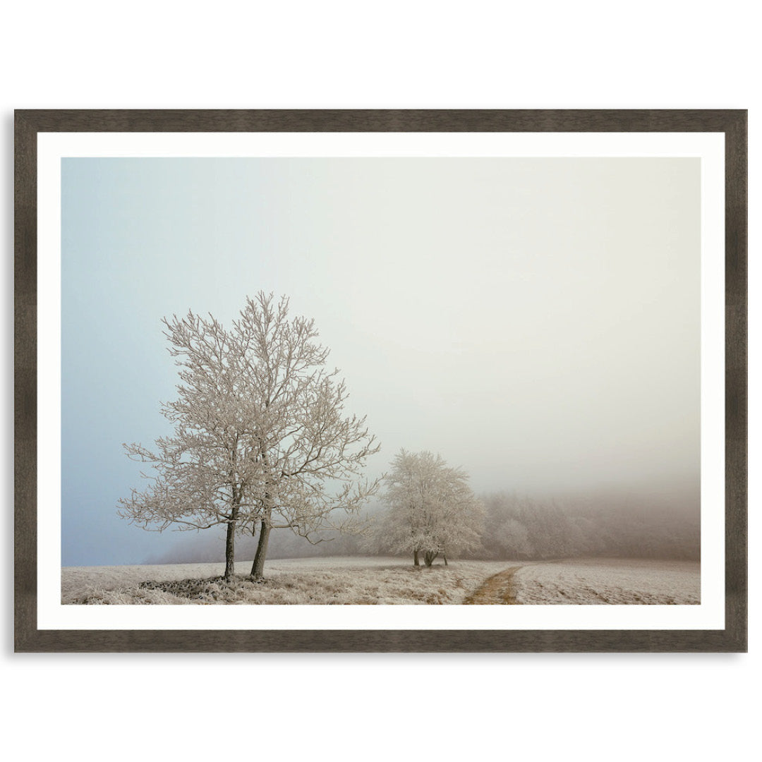 EARLY MORNING I - Framed Print