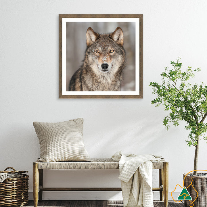 WHISPER II - Framed Print