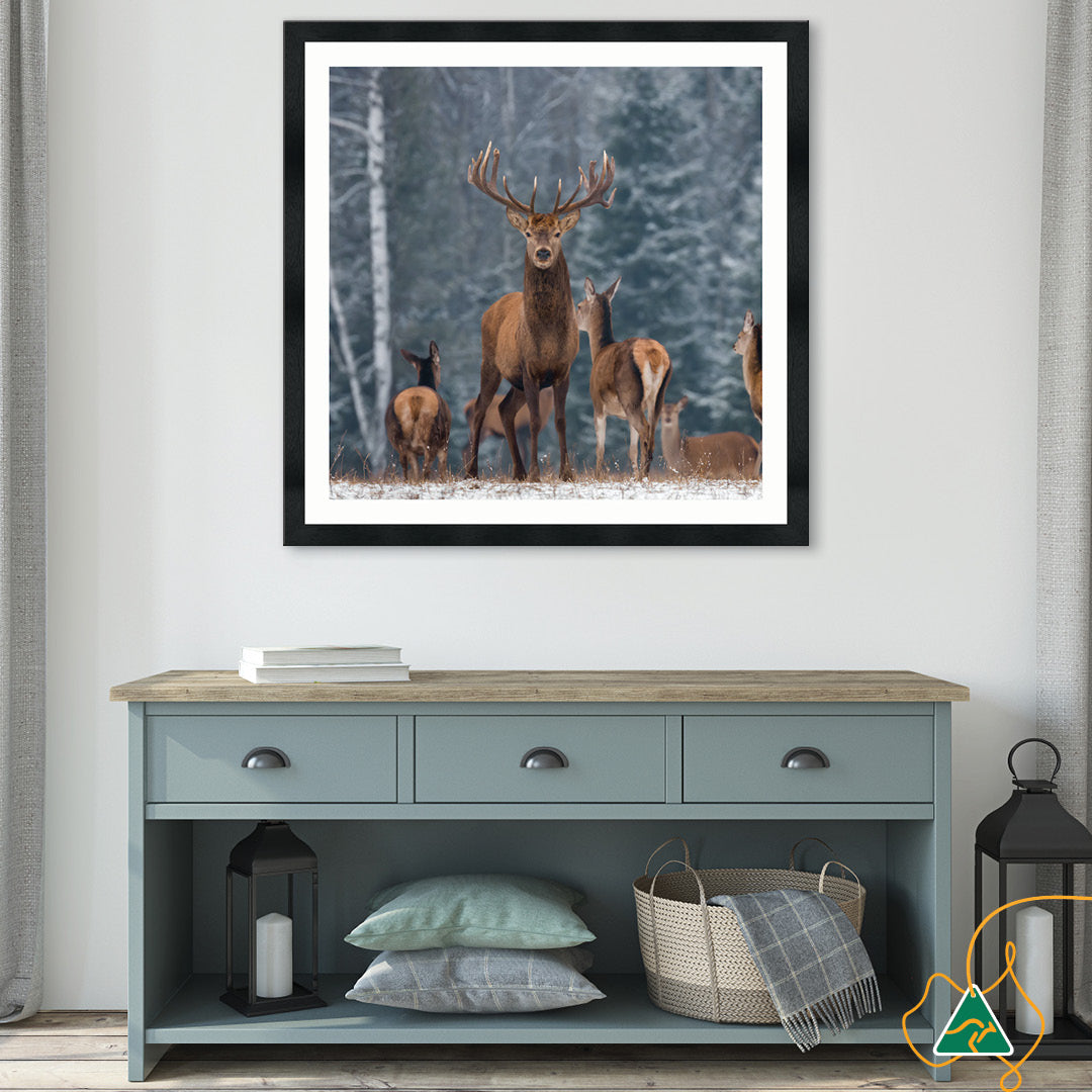 SENTINEL II - Framed Print