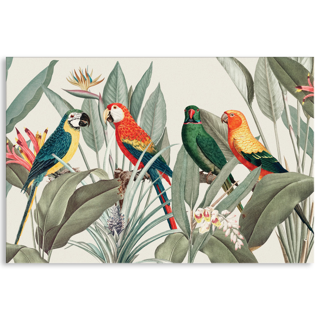 COLOURFUL MACAWS I - Canvas Print