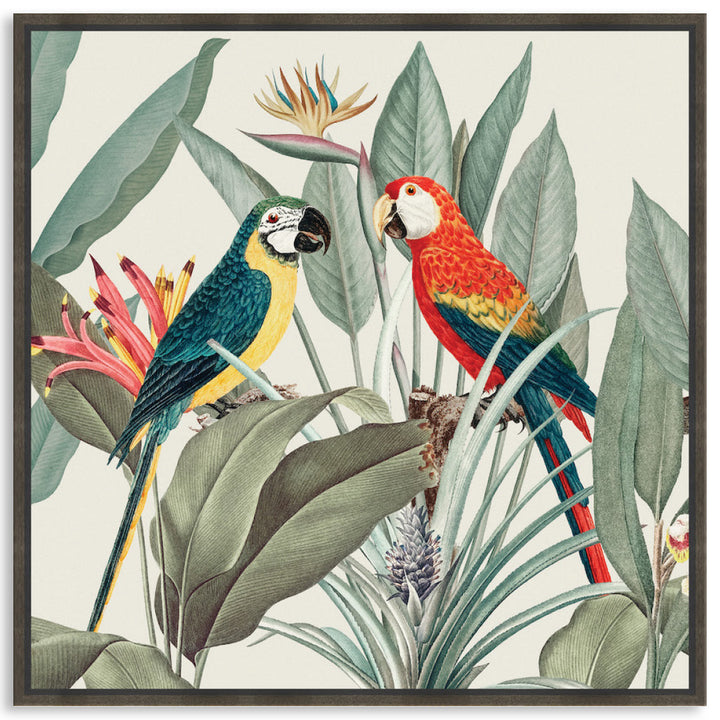 COLOURFUL MACAWS II - Framed Canvas