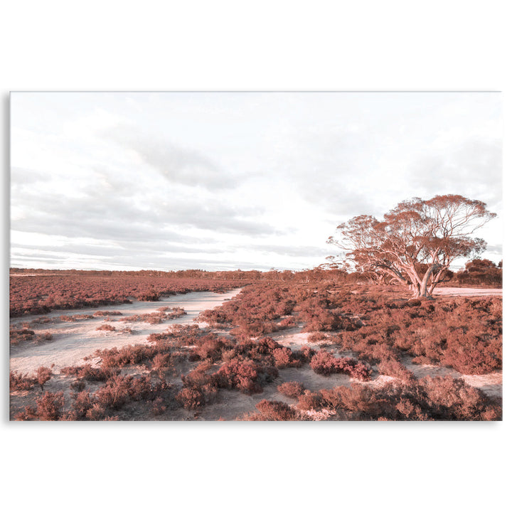 DESERT SUNSET I - Canvas Print