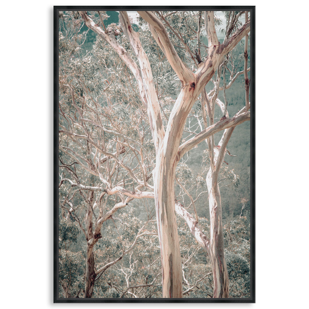 GUM TREES I - Framed Canvas