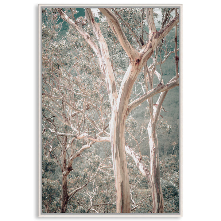 GUM TREES I - Framed Canvas