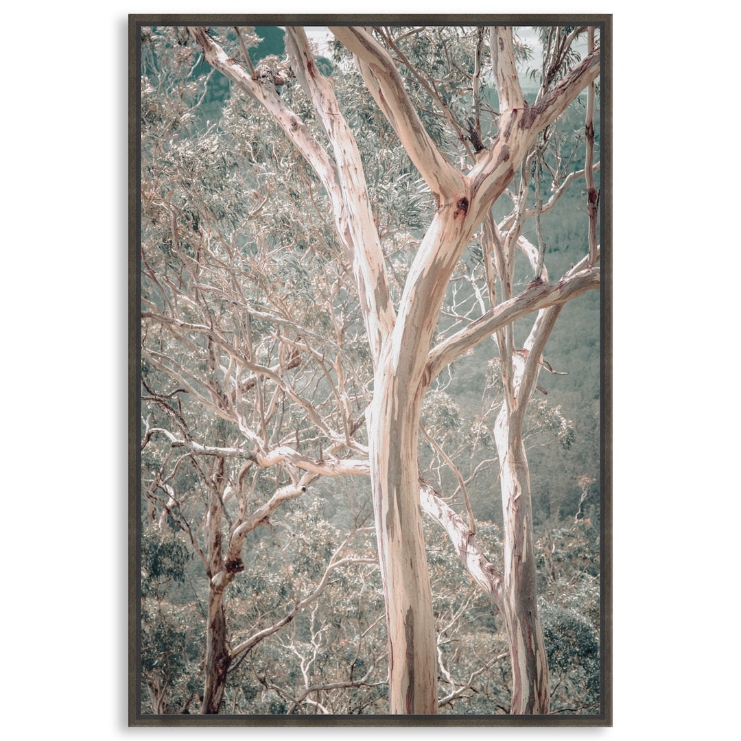 GUM TREES I - Framed Canvas