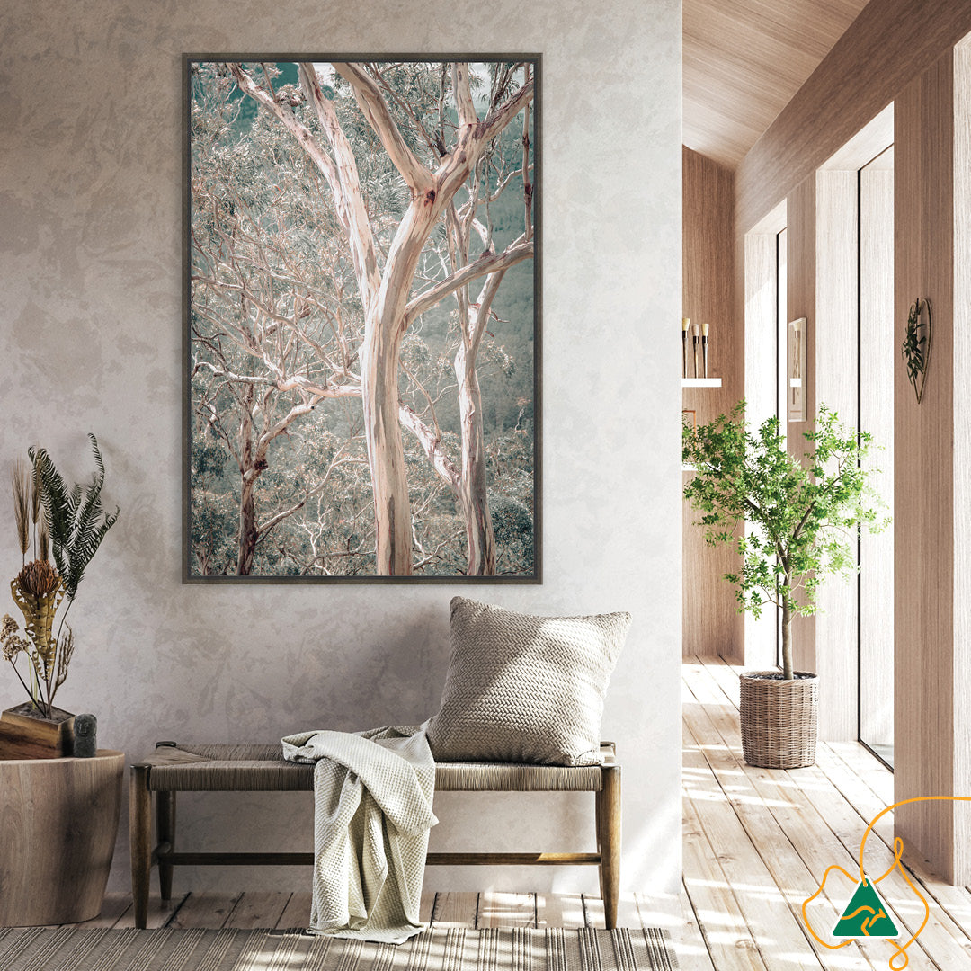 GUM TREES I - Framed Canvas