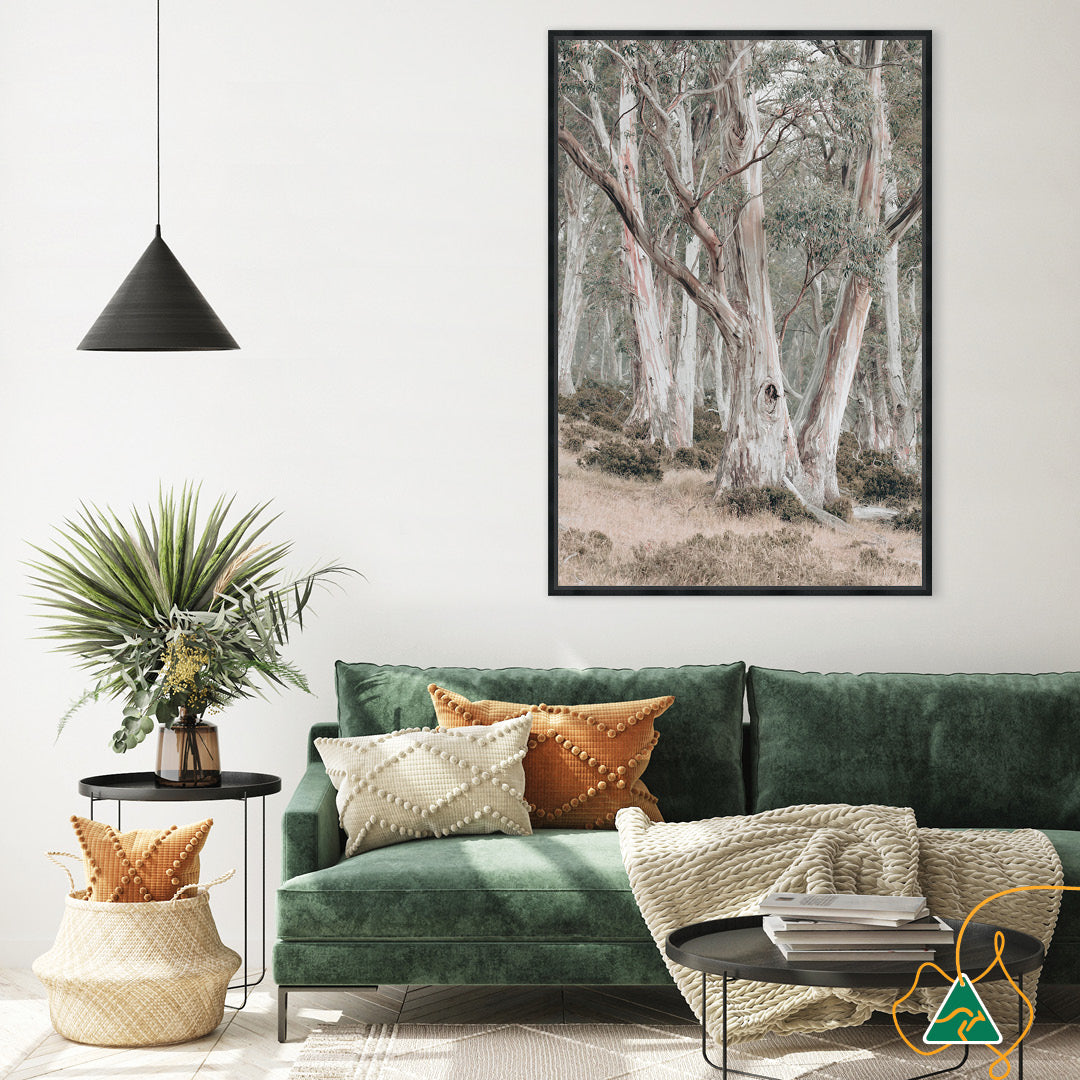 GUM TREES II - Framed Canvas