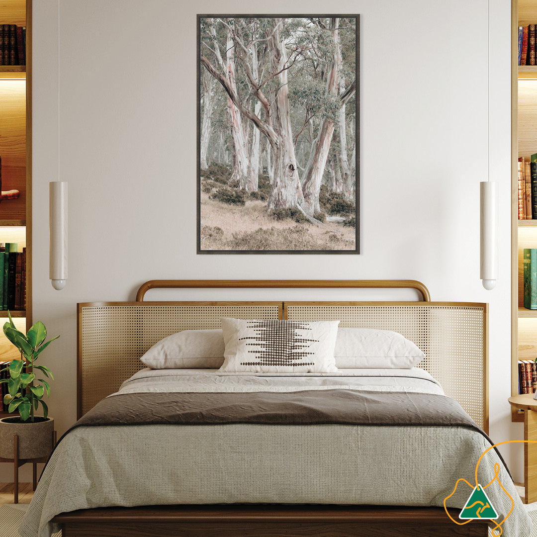 GUM TREES II - Framed Canvas