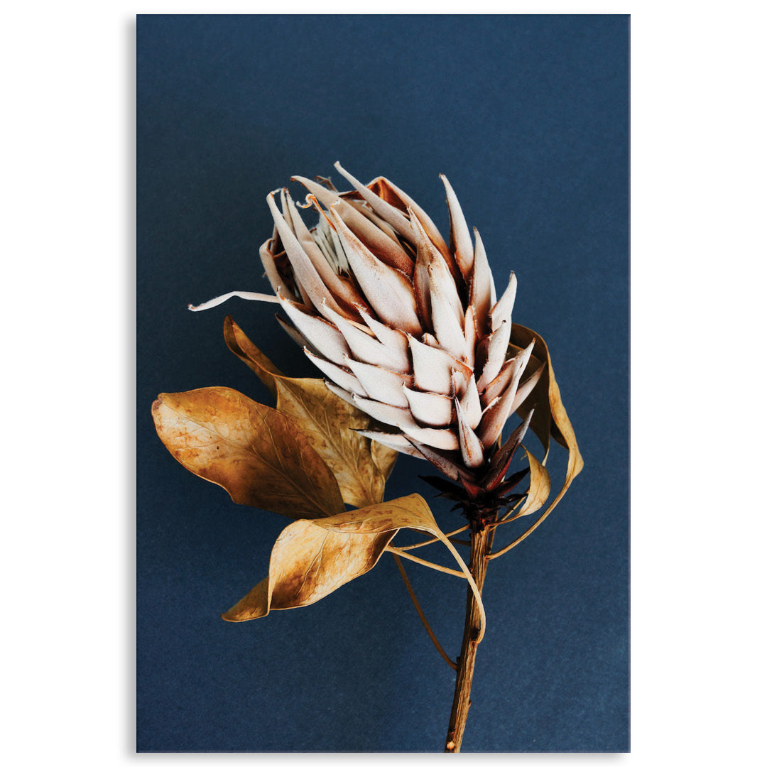 LUXE FLORAL I - Canvas Print