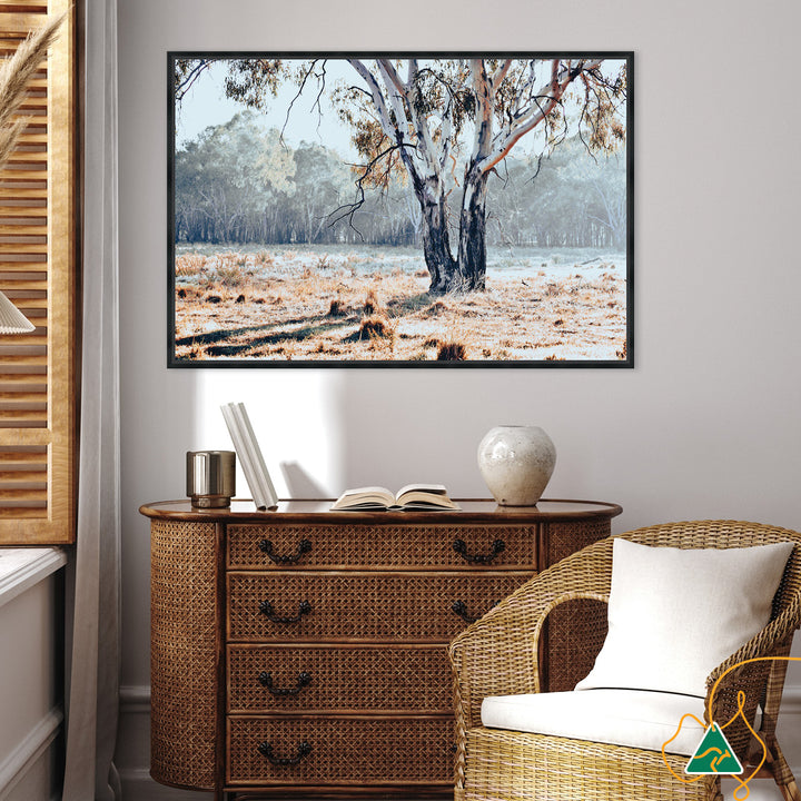 RIVER GUM I - Framed Canvas