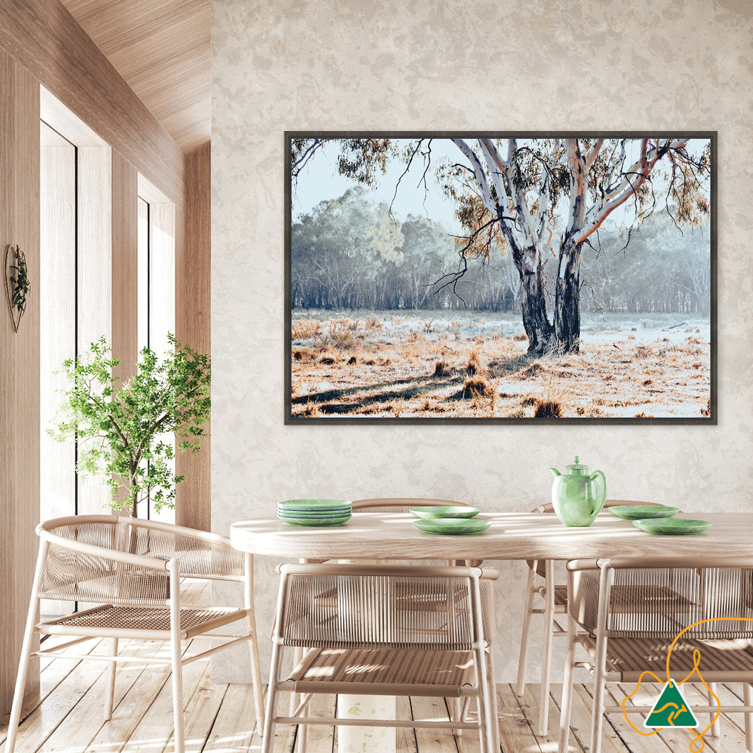 RIVER GUM I - Framed Canvas