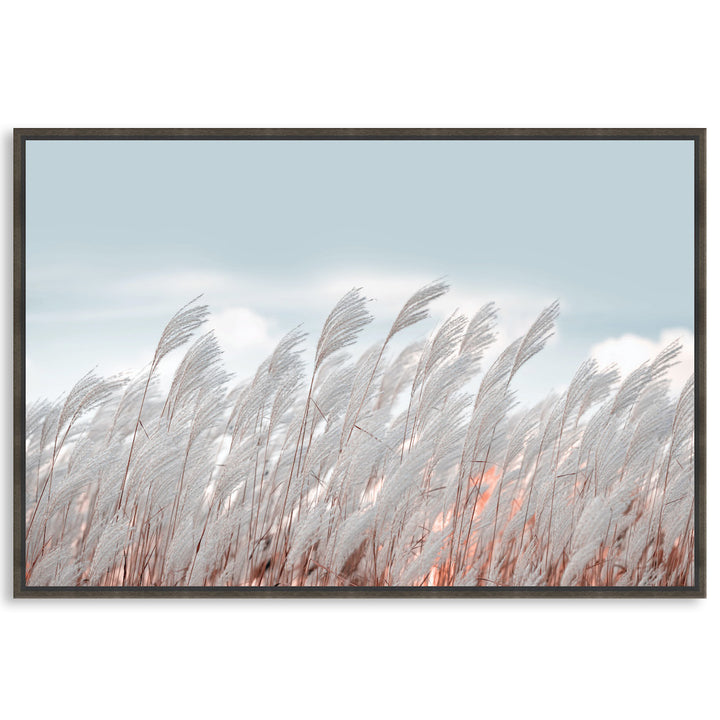 SILVER GRASS I - Framed Canvas