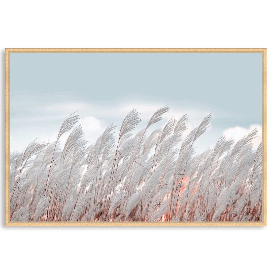 SILVER GRASS I - Framed Canvas