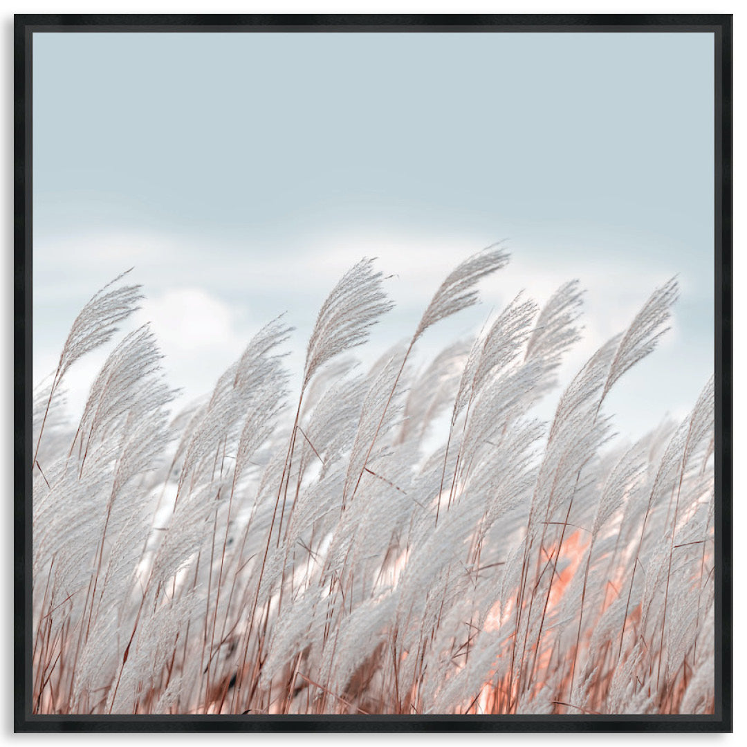 SILVER GRASS II - Framed Canvas