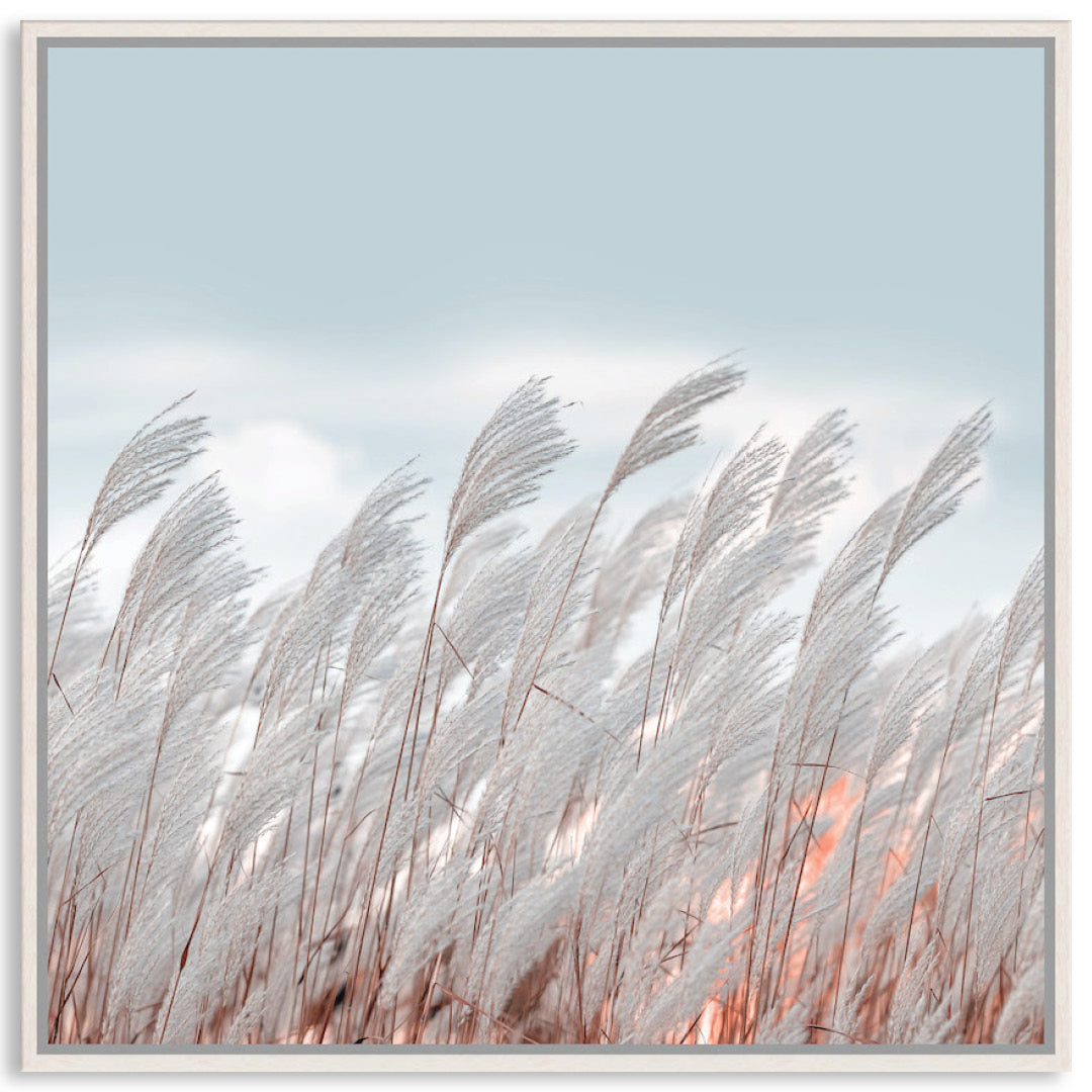 SILVER GRASS II - Framed Canvas