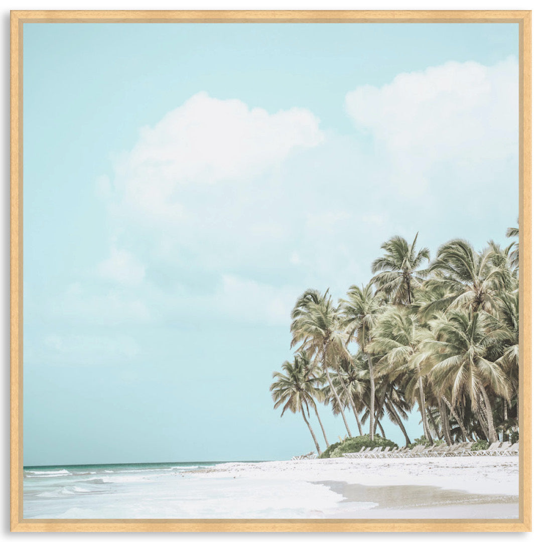 TROPICAL BOUNTY V - Framed Canvas