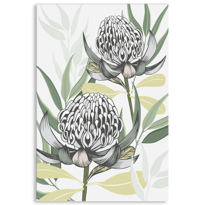 WHITE WARATAH I - Canvas Print