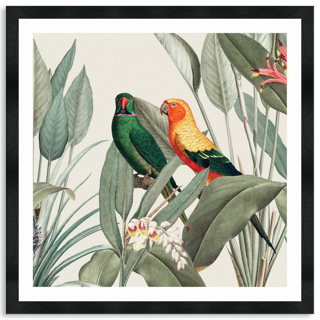 COLOURFUL MACAWS III - Framed Print