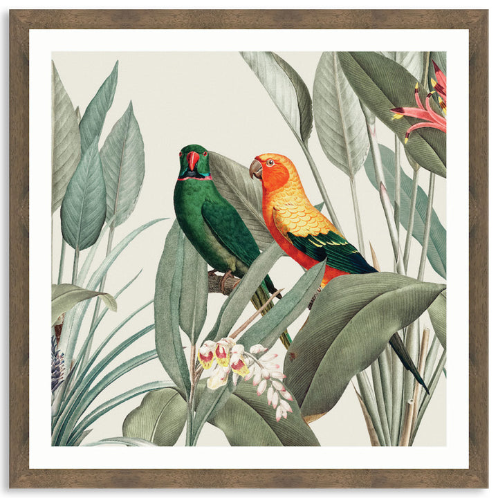 COLOURFUL MACAWS III - Framed Print