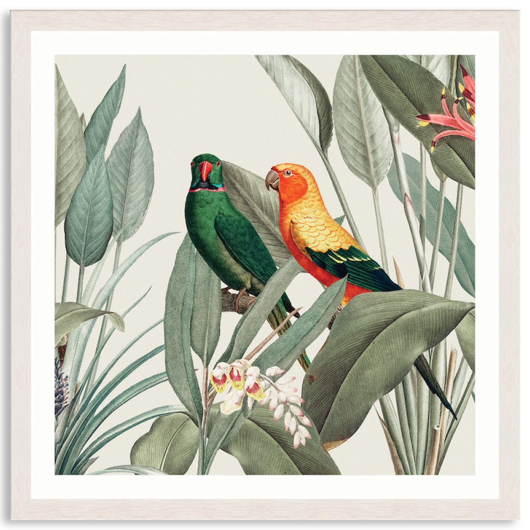 COLOURFUL MACAWS III - Framed Print