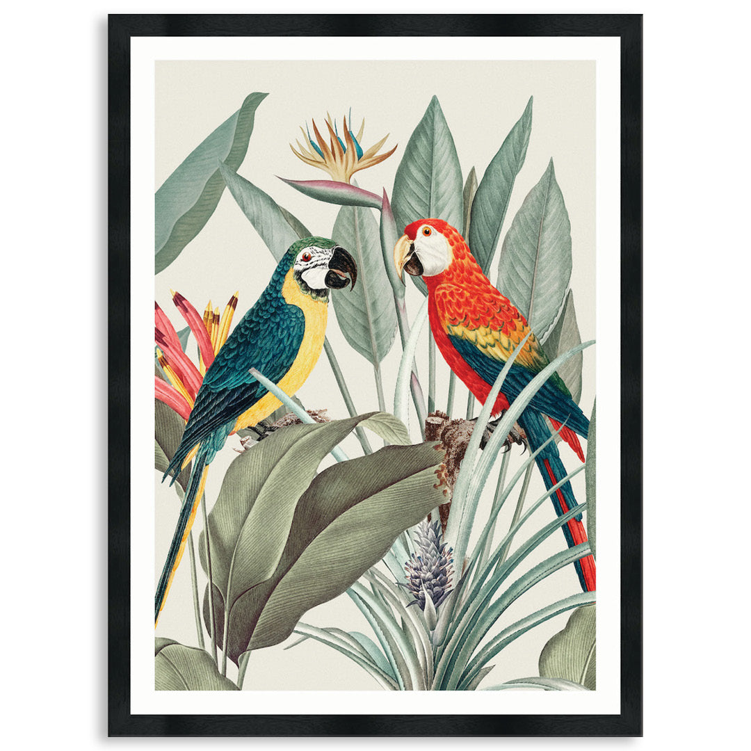 COLOURFUL MACAWS IV - Framed Print